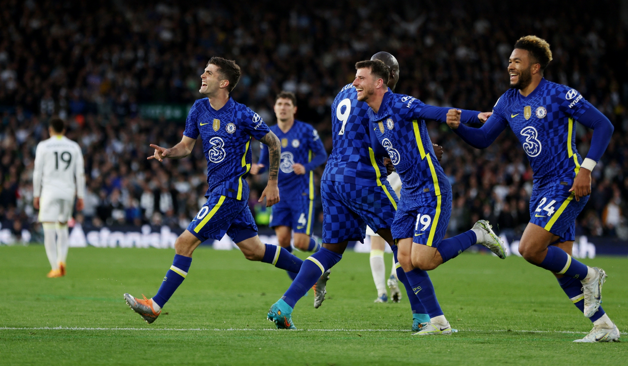 球迷带来了 球迷带来了